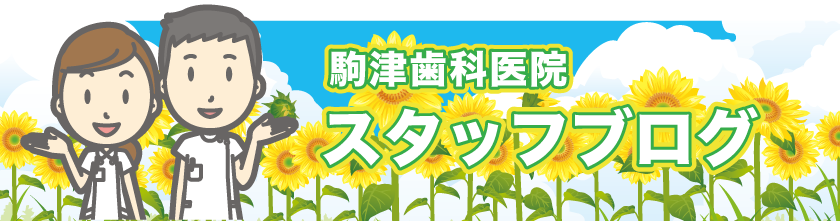 スタッフブログ
